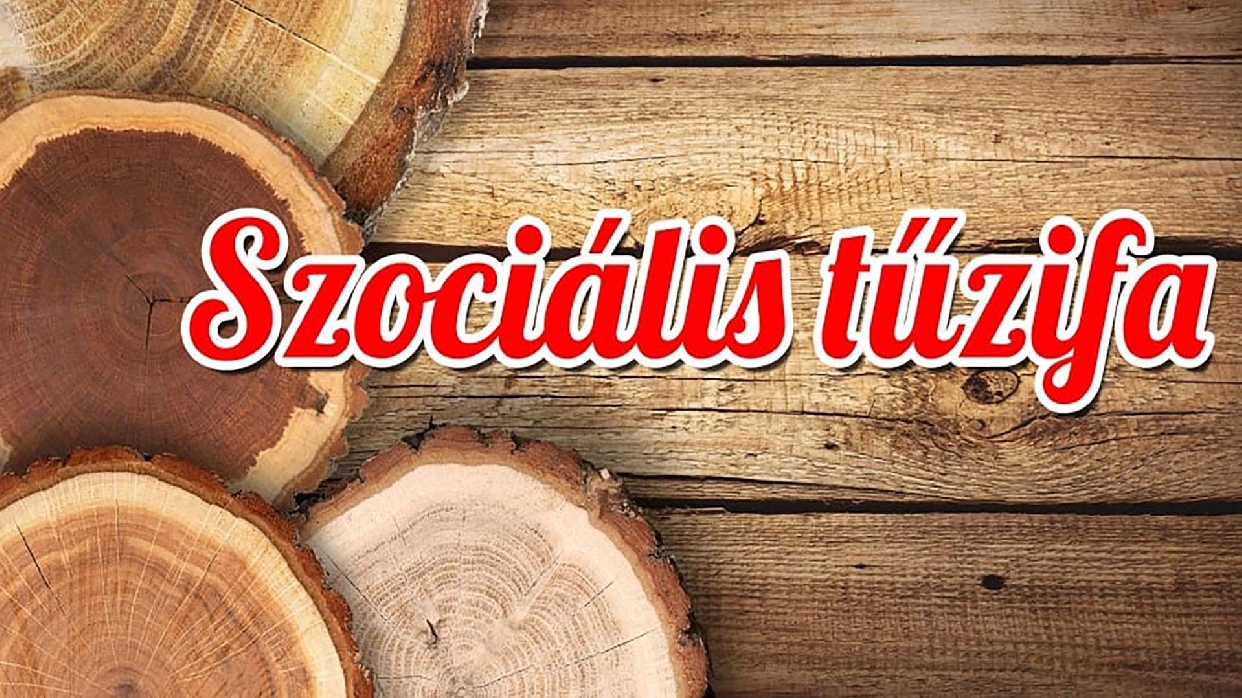 Elindult a szociális tűzifa igénylése